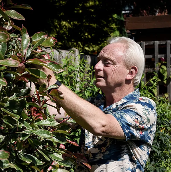 Man in their garden pruning a hedge